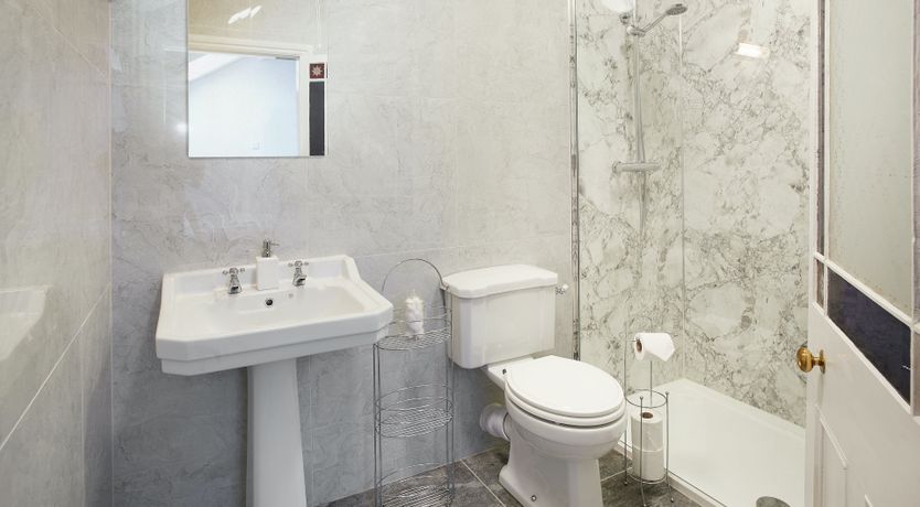 Photo of Willow in Bloom