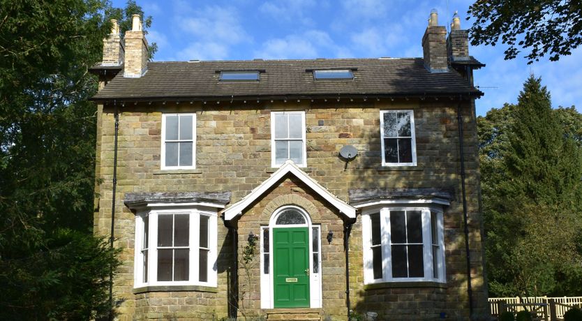 Photo of Willow in Bloom