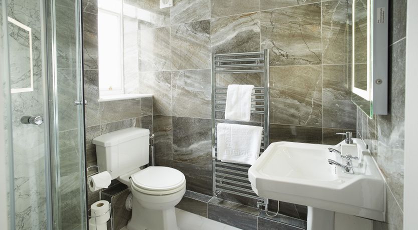 Photo of Willow in Bloom