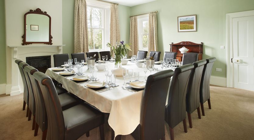 Photo of Willow in Bloom