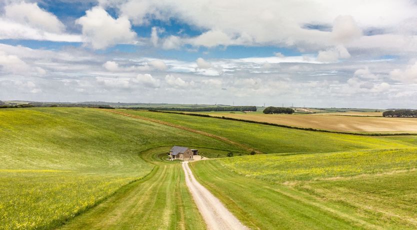 Photo of The Master of Dorset