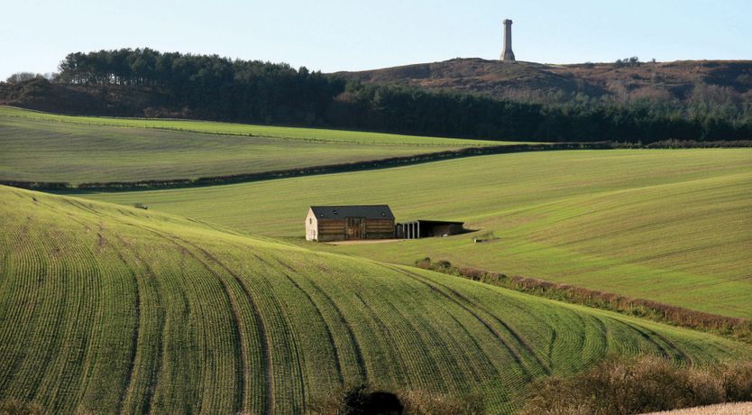 Photo of The Master of Dorset