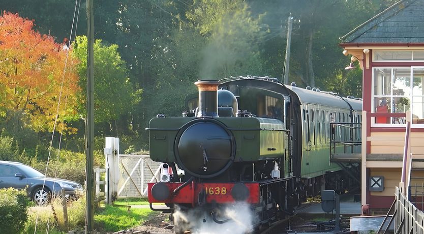 Photo of The White Roses