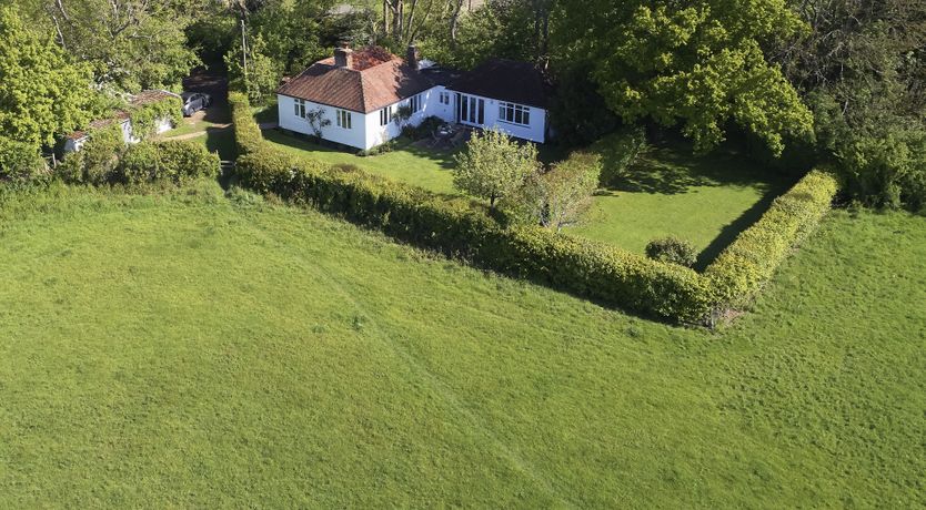 Photo of The White Roses