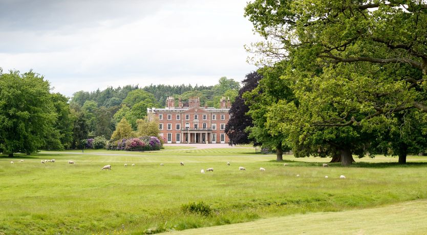 Photo of Olde Shingle