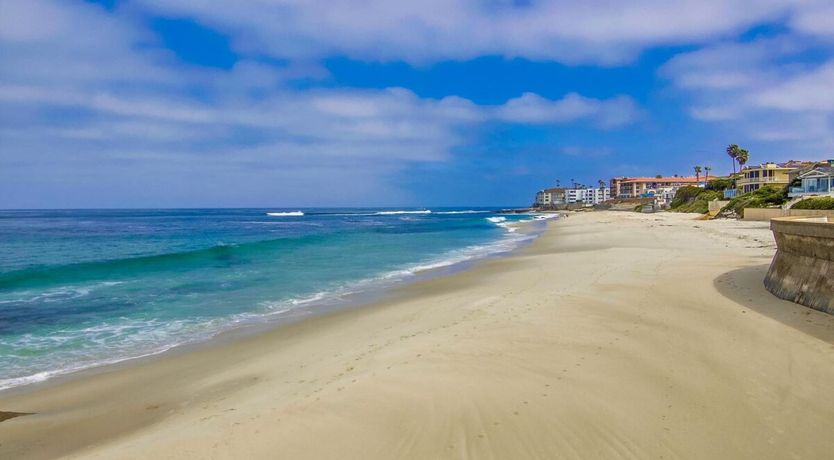 Photo of Seashells by the Sea Shore