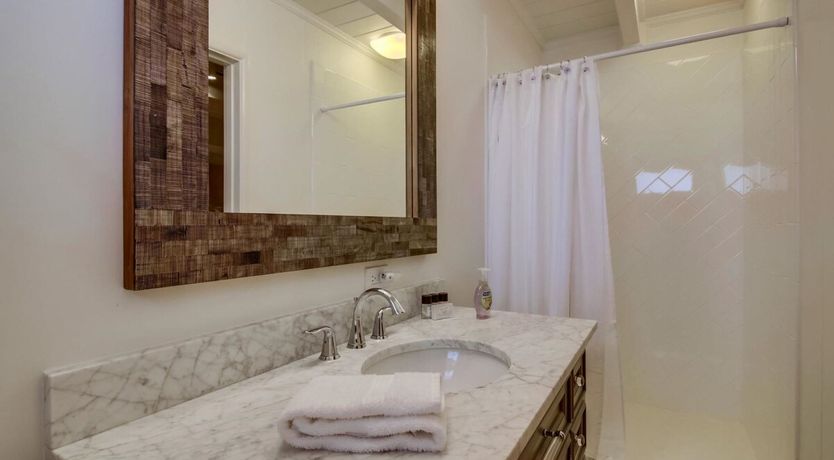 Photo of Seashells by the Sea Shore