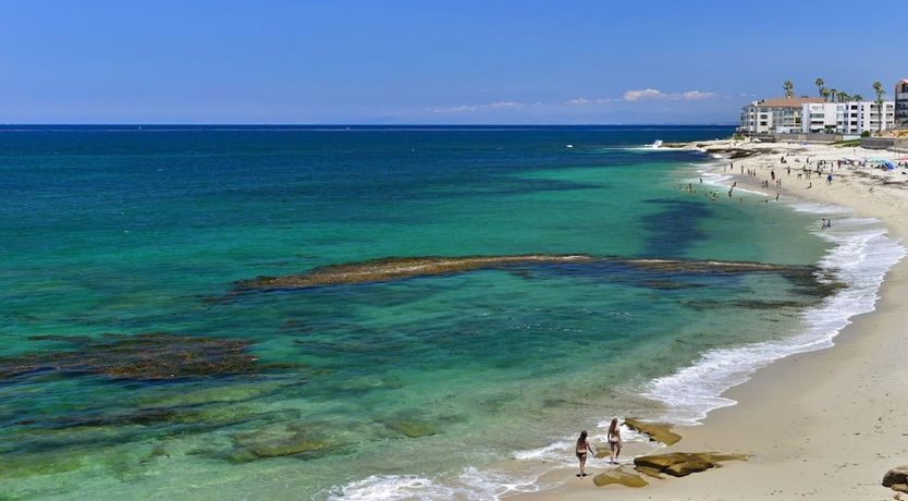 Photo of Seashells by the Sea Shore
