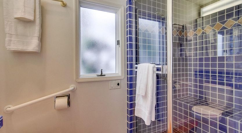 Photo of Seashells by the Sea Shore