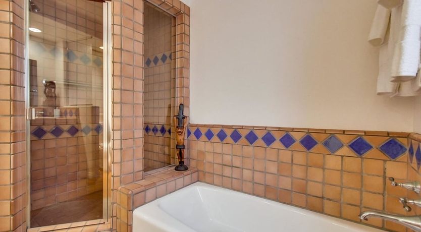 Photo of Seashells by the Sea Shore