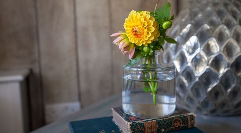 Photo of Where The Ways Part