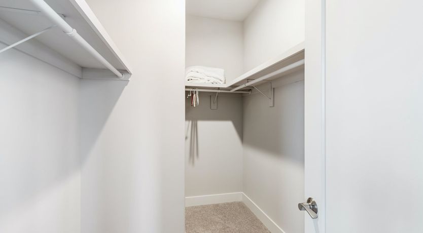 Photo of Skyline Tranquility