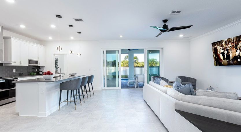 Photo of Evergreen Tree