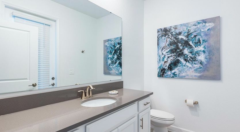 Photo of Evergreen Tree