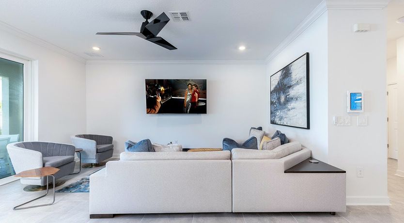 Photo of Evergreen Tree