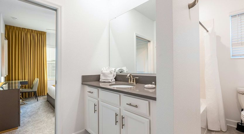 Photo of Evergreen Tree