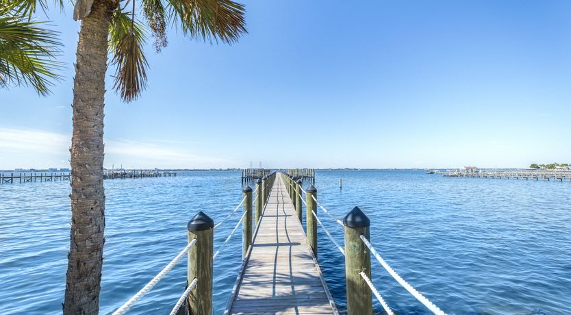 Photo of Evergreen Tree