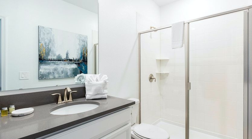 Photo of Evergreen Tree