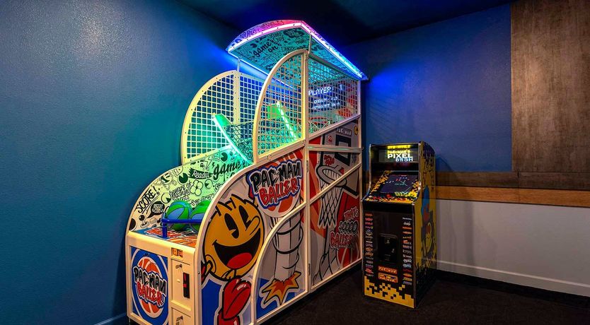 Photo of Evergreen Tree