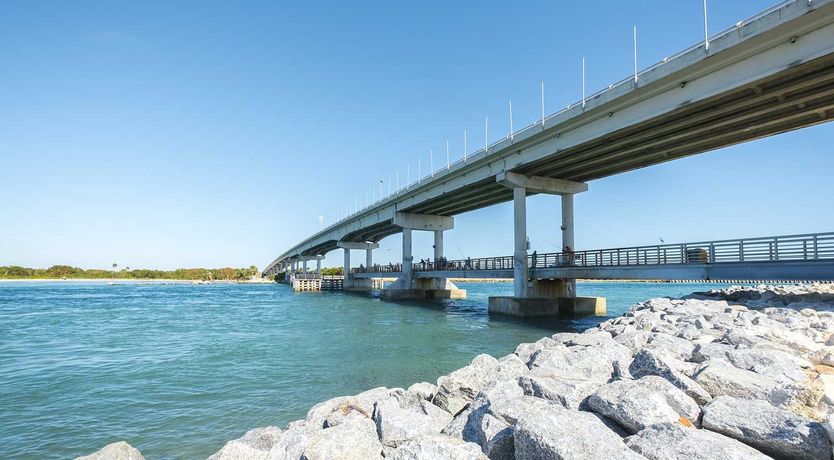 Photo of Evergreen Tree