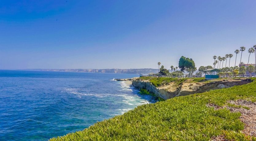 Photo of Cabin Fever