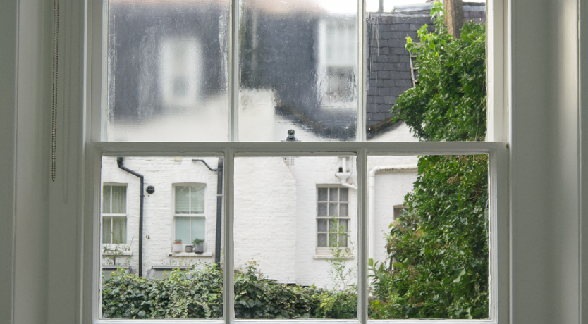 Photo of My Dear Watson