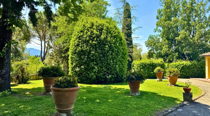 Photo of Tuscan Glory