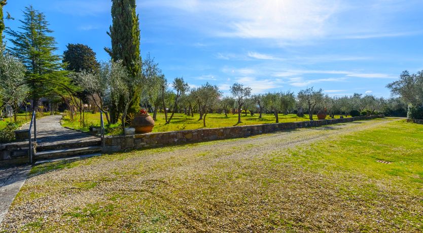 Photo of Tuscan Glory