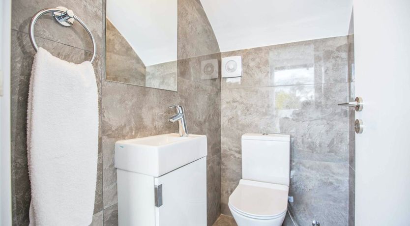 Photo of Blue Dolphin