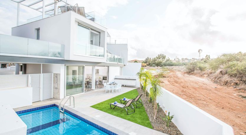 Photo of Blue Dolphin