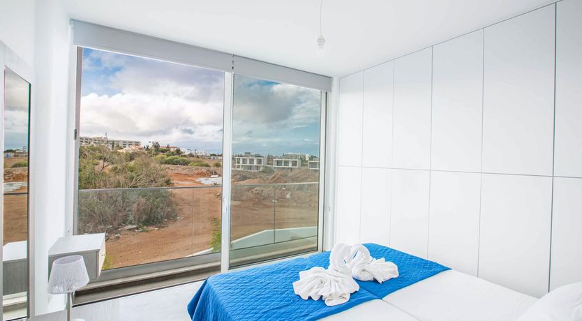 Photo of Blue Dolphin