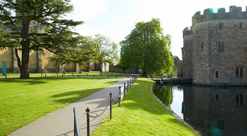 Photo of Honeysuckle & Rose