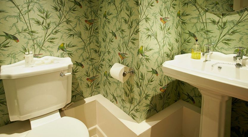 Photo of Honeysuckle & Rose