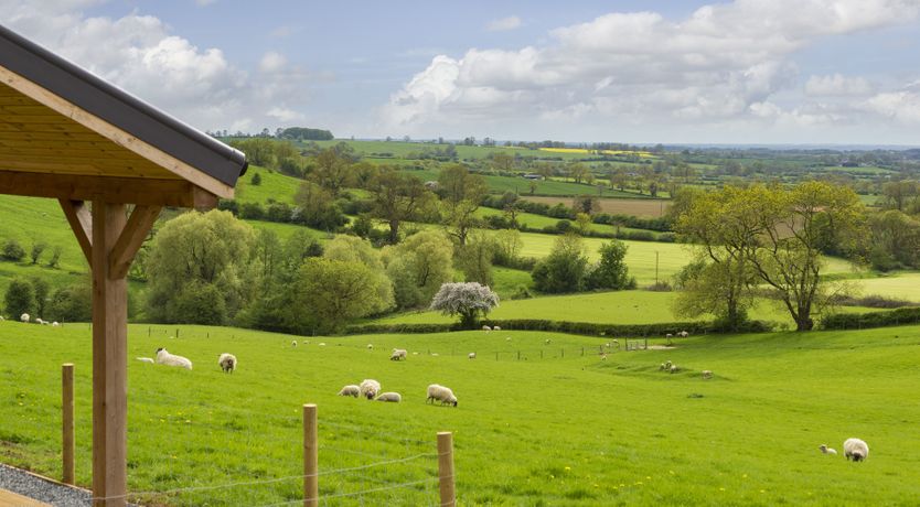 Photo of Quail's Feather