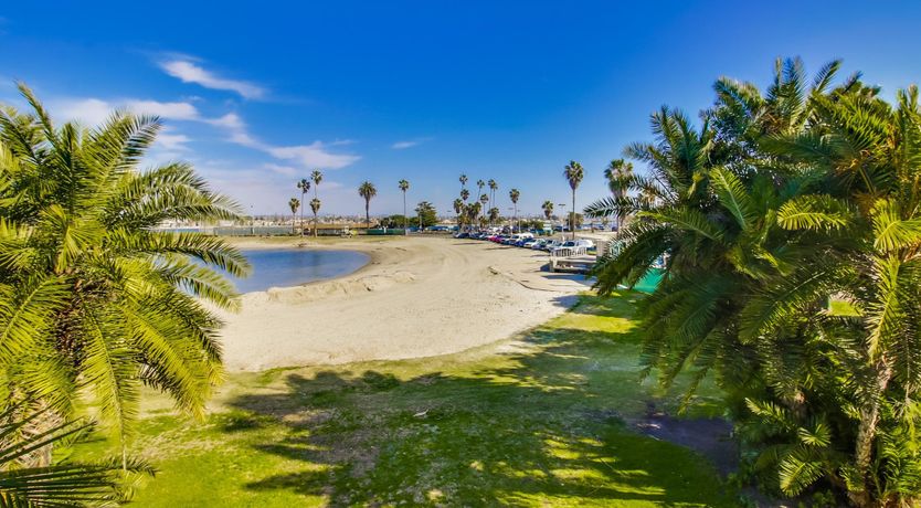 Photo of Non Stop Waves