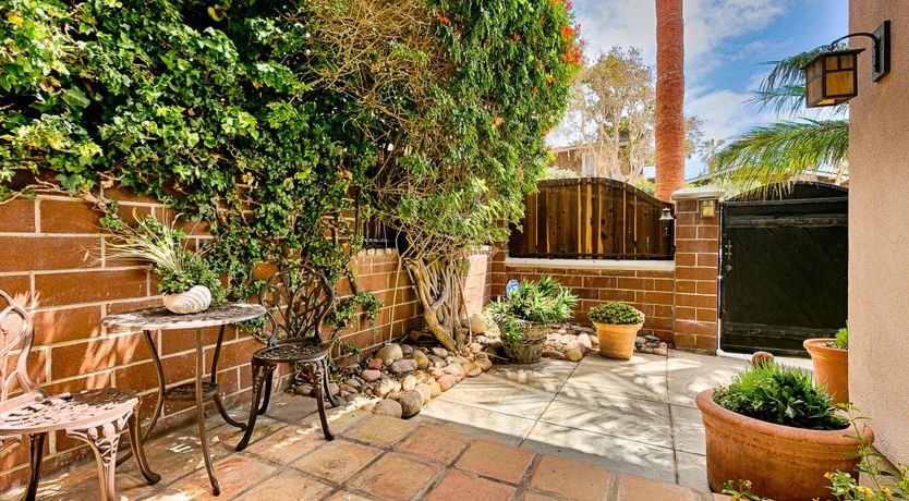 Photo of Apricot Coastline