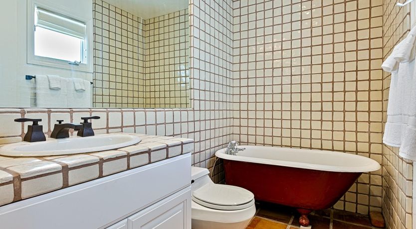 Photo of Apricot Coastline