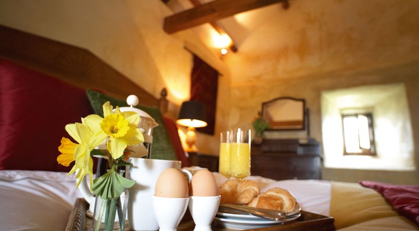 Photo of The Daffodil Garden