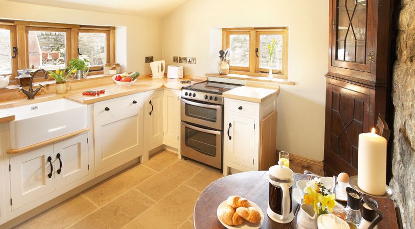 Photo of The Daffodil Garden