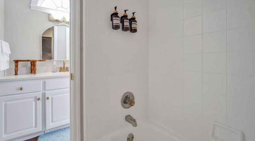 Photo of Treetop Tranquility