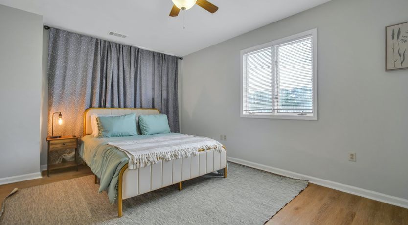 Photo of Treetop Tranquility