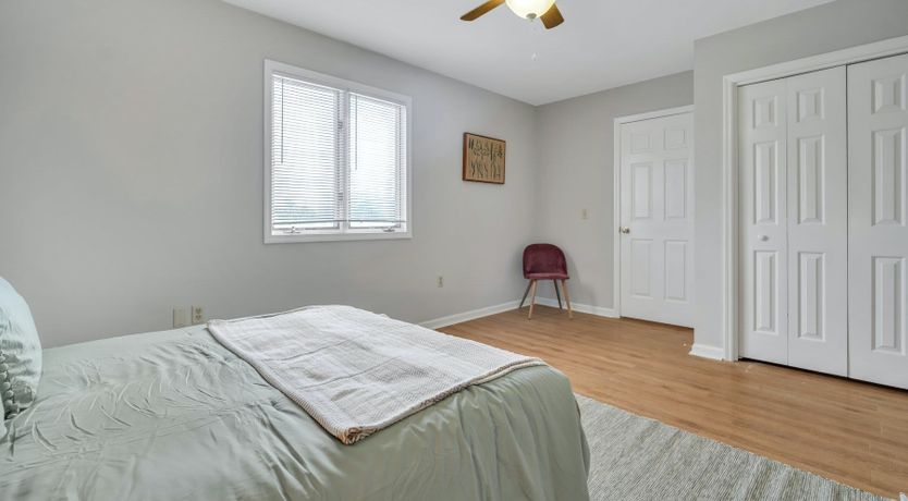 Photo of Treetop Tranquility