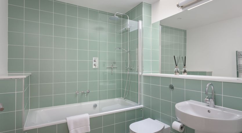 Photo of The Hummingbird's Song