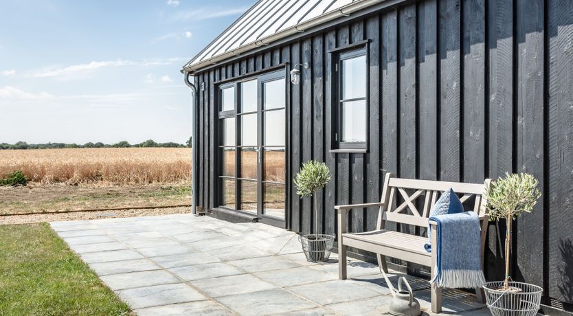 Photo of The Hummingbird's Song