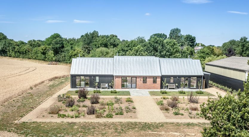 Photo of The Hummingbird's Song