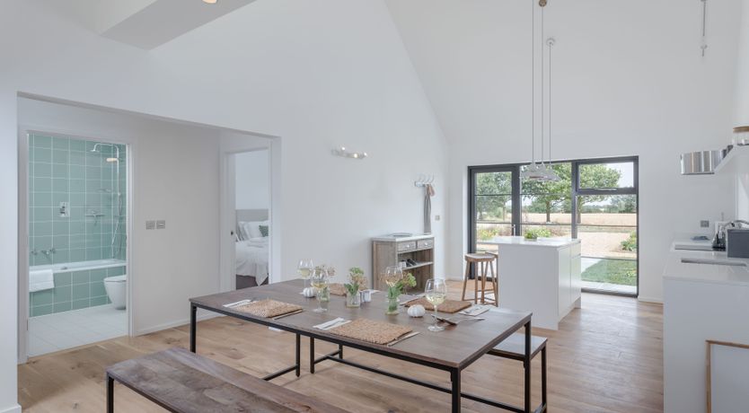 Photo of The Hummingbird's Song