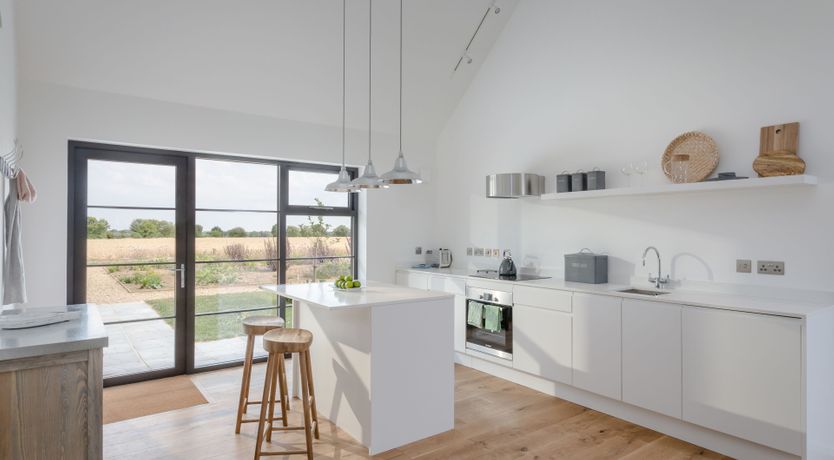 Photo of The Hummingbird's Song