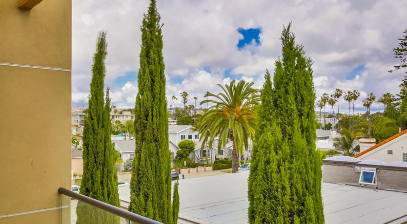 Photo of Summer Moves