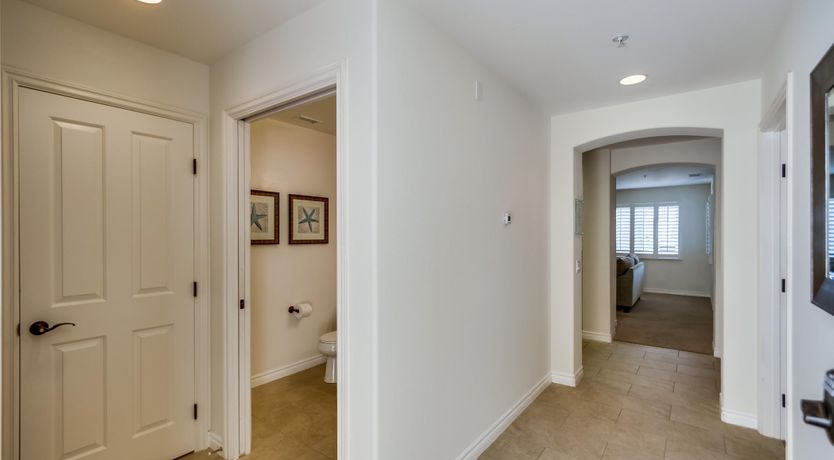 Photo of Summer Moves