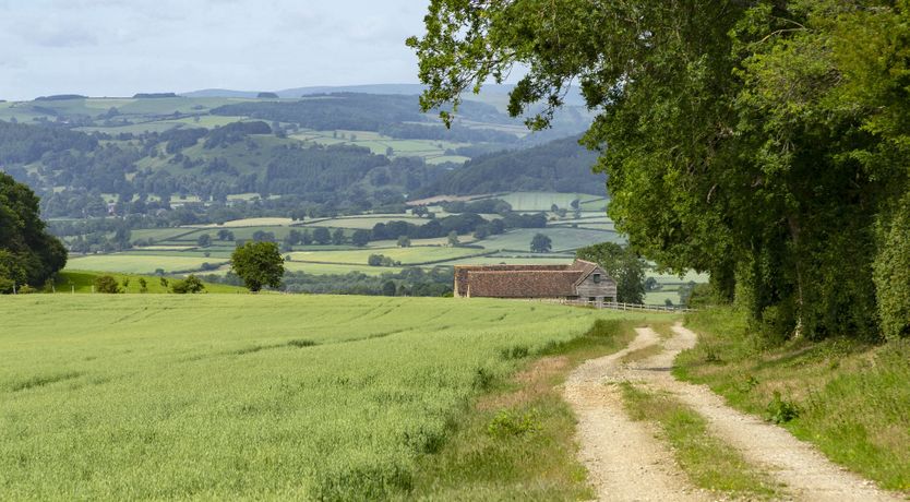 Photo of On the Hills